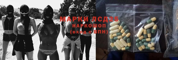 гидра Алексеевка