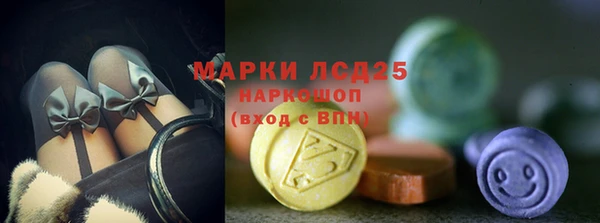 гидра Алексеевка