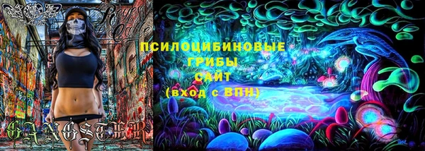 стафф Алзамай